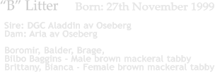 Boromir, Balder, Brage, Bilbo Baggins - Male brown mackeral tabby Brittany, Bianca - Female brown mackeral tabby B Litter     Born: 27th November 1999  Sire: DGC Aladdin av Oseberg Dam: Aria av Oseberg